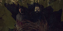 Time And The Moth